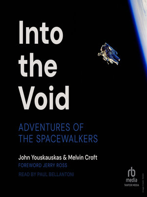 cover image of Into the Void